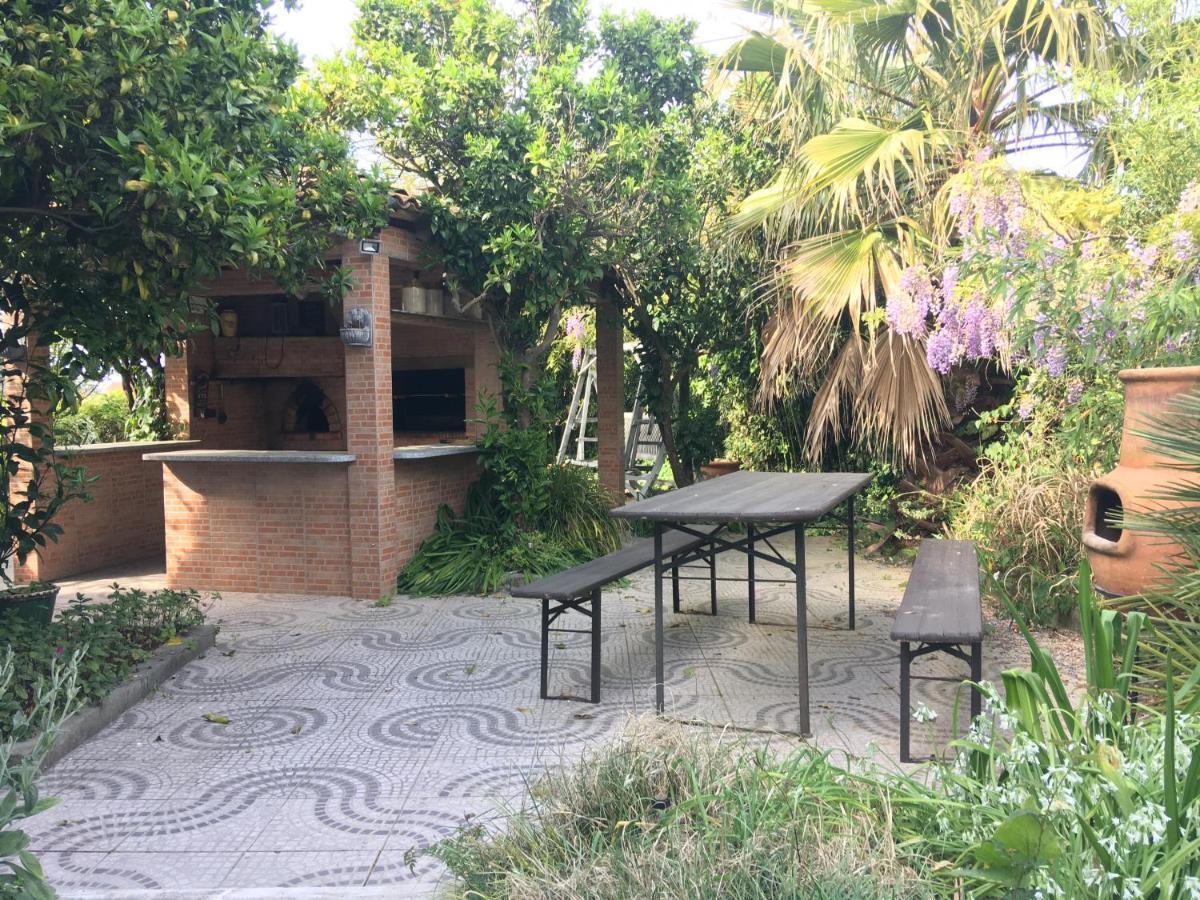 Casa Das Flores Leiria Silvercoast Portugal Monte Redondo エクステリア 写真
